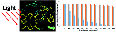 Graphical abstract: Synthesis, characterization and biological evaluation of cationic porphyrin–terpyridine derivatives