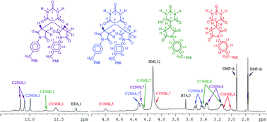 Graphical abstract: NMR spectroscopy study on N,N′-bismaleimide-4,4′-diphenylmethane and barbituric acid synthesis reaction mechanism in N,N′-dimethylformamide solvent