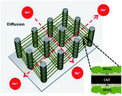 Graphical abstract: Three-dimensional network of coaxial carbon nanotube/manganese oxides electrode for supercapacitors