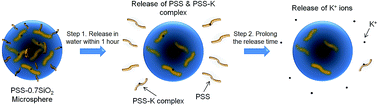 Graphical abstract: Novel polystyrene sulfonate–silica microspheres as a carrier of a water soluble inorganic salt (KCl) for its sustained release, via a dual-release mechanism