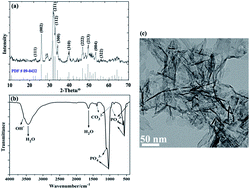 Graphical abstract: Nano-hydroxyapatite reinforced polyphenylene sulfide biocomposite with superior cytocompatibility and in vivo osteogenesis as a novel orthopedic implant