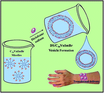 Graphical abstract: Drug induced micelle-to-vesicle transition in aqueous solutions of cationic surfactants