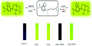Graphical abstract: A fluorescence “turn-on” chemosensor for Hg2+ and Ag+ based on NBD (7-nitrobenzo-2-oxa-1,3-diazolyl)