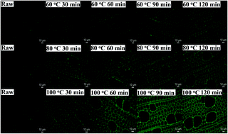 Graphical abstract: Assessment of structural characteristics of regenerated cellulolytic enzyme lignin based on a mild DMSO/[Emim]OAc dissolution system from triploid of Populus tomentosa Carr.