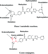 Graphical abstract: Identification and characterization of in vitro phase I and reactive metabolites of masitinib using a LC-MS/MS method: bioactivation pathway elucidation