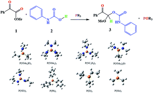 Graphical abstract: Understanding the mechanism, thermodynamic and kinetic features of the Kukhtin–Ramirez reaction in carbamate synthesis from carbon dioxide