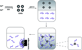 Graphical abstract: Iron oxide nanoparticles functionalized with nisin for rapid inhibition and separation of Alicyclobacillus spp.