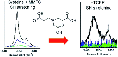 Graphical abstract: In situ Raman spectroscopy distinguishes between reversible and irreversible thiol modifications in l-cysteine