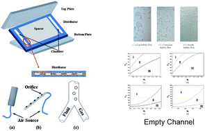 Graphical abstract: Direct observation of flow and bubble behavior in flat sheet modules with a distributor