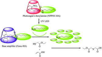 Graphical abstract: Phototriggered base proliferation: a powerful 365 nm LED photoclick tool for nucleophile-initiated thiol-Michael addition reaction