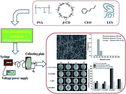 Graphical abstract: Enhancement of the antimicrobial activity of cinnamon essential oil-loaded electrospun nanofilm by the incorporation of lysozyme