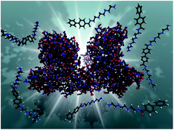 Graphical abstract: Probing the binding mechanism of photoresponsive azobenzene polyamine derivatives with human serum albumin