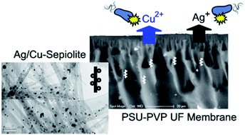 Graphical abstract: Antimicrobial organic–inorganic composite membranes including sepiolite-supported nanometals