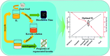 Graphical abstract: DBN-based ionic liquids with high capability for the dissolution of wool keratin