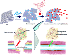Graphical abstract: Controlled release of vancomycin from 3D porous graphene-based composites for dual-purpose treatment of infected bone defects