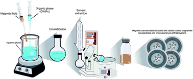 Graphical abstract: Evaluation of a chloroaluminium phthalocyanine-loaded magnetic nanoemulsion as a drug delivery device to treat glioblastoma using hyperthermia and photodynamic therapy