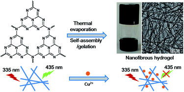 Graphical abstract: A fluorescent carbon nitride nanofibrous hydrogel for selective sensing of Cu2+