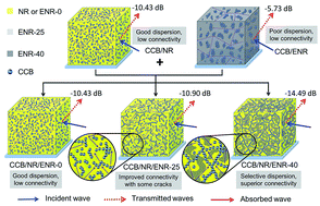 Graphical abstract: Compatibility-tuned distribution of nanoparticles in co-continuous rubber structures toward microwave absorption enhancement