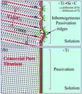 Graphical abstract: Electrochemical study on the corrosion behavior of Ti3SiC2 in 3.5% NaCl solution