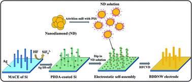 Graphical abstract: Enhanced electrochemical oxidation of phenol by boron-doped diamond nanowire electrode