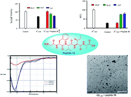 Graphical abstract: Aβ1–42 C-terminus fragment derived peptides prevent the self-assembly of the parent peptide