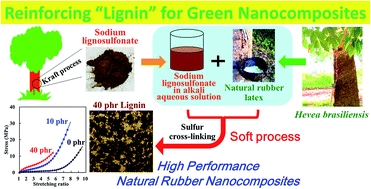 Graphical abstract: Reinforcing biofiller “Lignin” for high performance green natural rubber nanocomposites