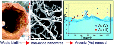 Graphical abstract: Bacterial iron-oxide nanowires from biofilm waste as a new adsorbent for the removal of arsenic from water
