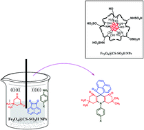 Graphical abstract: Sonochemical one pot synthesis of novel spiroacridines catalyzed by magnetically functionalized Fe3O4 nanoparticles with chitosan as a reusable effective catalyst