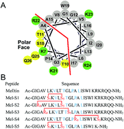 Graphical abstract: Design, synthesis, and antiproliferative activities of stapled melittin peptides