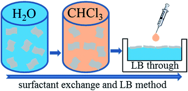 Graphical abstract: A benzoxazine surfactant exchange for atomic force microscopy characterization of two dimensional materials exfoliated in aqueous surfactant solutions