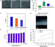 Graphical abstract: Delivery of VP1 siRNA to inhibit the EV71 virus using functionalized silver nanoparticles through ROS-mediated signaling pathways