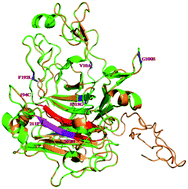 Graphical abstract: Improving the activity of endoglucanase I (EGI) from Saccharomyces cerevisiae by DNA shuffling