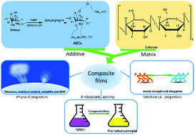 Graphical abstract: Preparation and performance of composite films based on 2-(2-aminoethoxy) ethyl chitosan and cellulose