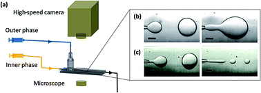 Graphical abstract: The dripping-to-jetting transition in a co-axial flow of aqueous two-phase systems with low interfacial tension