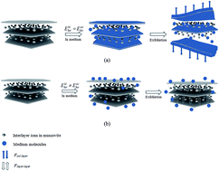 Graphical abstract: Correlation of natural muscovite exfoliation with interlayer and solvation forces