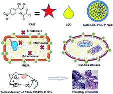 Graphical abstract: Dual delivery of chloramphenicol and essential oil by poly-ε-caprolactone–Pluronic nanocapsules to treat MRSA-Candida co-infected chronic burn wounds
