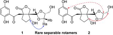 Graphical abstract: Two rare meroterpenoidal rotamers from Ganoderma applanatum