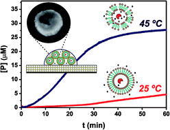 Graphical abstract: A liposome-actuated enzyme system and its capability as a self-biomineralized silica nanoreactor