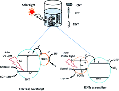 Graphical abstract: Benefits of tubular morphologies on electron transfer properties in CNT/TiNT nanohybrid photocatalyst for enhanced H2 production