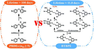 Graphical abstract: Atmospheric chemical reaction mechanism and kinetics of 1,2-bis(2,4,6-tribromophenoxy)ethane initiated by OH radical: a computational study