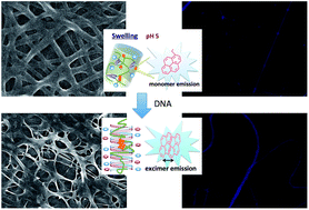 Graphical abstract: pH-Responsive and pyrene based electrospun nanofibers for DNA adsorption and detection