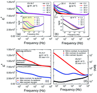 Graphical abstract: Origin(s) of the apparent colossal permittivity in (In1/2Nb1/2)xTi1−xO2: clarification on the strongly induced Maxwell–Wagner polarization relaxation by DC bias