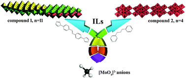 Graphical abstract: Two new molybdates based on ∞[MonO3n+1]2− units (n = 11, 4) with proton conduction under ionothermal