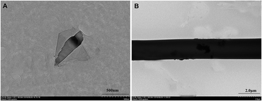 Graphical abstract: Preparation and characterization of electrospun graphene/silk fibroin conductive fibrous scaffolds