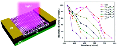 Graphical abstract: Band-tunable photodetectors based on graphene/alloyed ZnxCd1−xS film hybrids