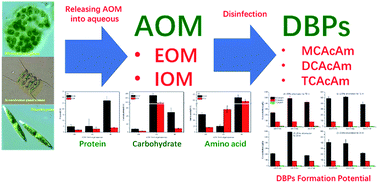 Graphical abstract: The formation of haloacetamides, as an emerging class of N-DBPs, from chlor(am)ination of algal organic matter extracted from Microcystis aeruginosa, Scenedesmus quadricauda and Nitzschia palea