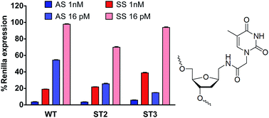 Graphical abstract: The impact of an extended nucleobase-2′-deoxyribose linker in the biophysical and biological properties of oligonucleotides