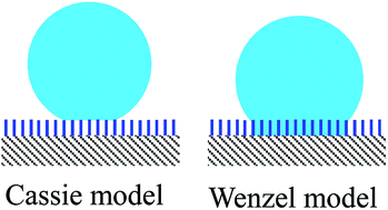 Graphical abstract: Measurement of Wenzel roughness factor by laser scanning confocal microscopy