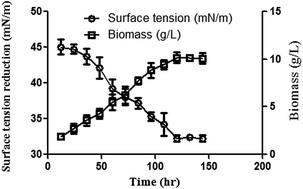 Graphical abstract: Towards the development of an effective in vivo wound healing agent from Bacillus sp. derived biosurfactant using Catla catla fish fat