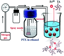 Graphical abstract: pH-Responsive nanodrug encapsulated by tannic acid complex for controlled drug delivery